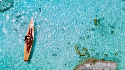 How to Become a Successful Entry Level UX Designer